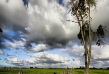 九游-关于爆冷引发热议！，西亚卡姆在IG比赛中败北赢得满堂喝彩的信息